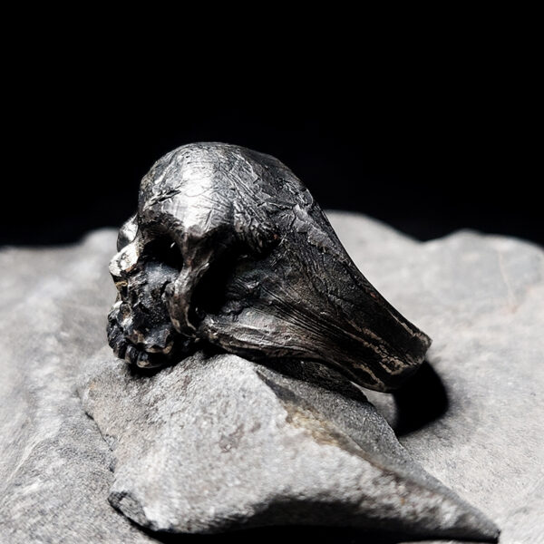 Ruby Eye Skull - immagine 3